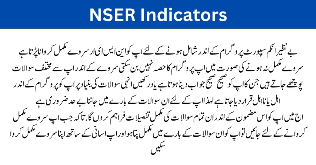 NSER Indicators for BISP Program