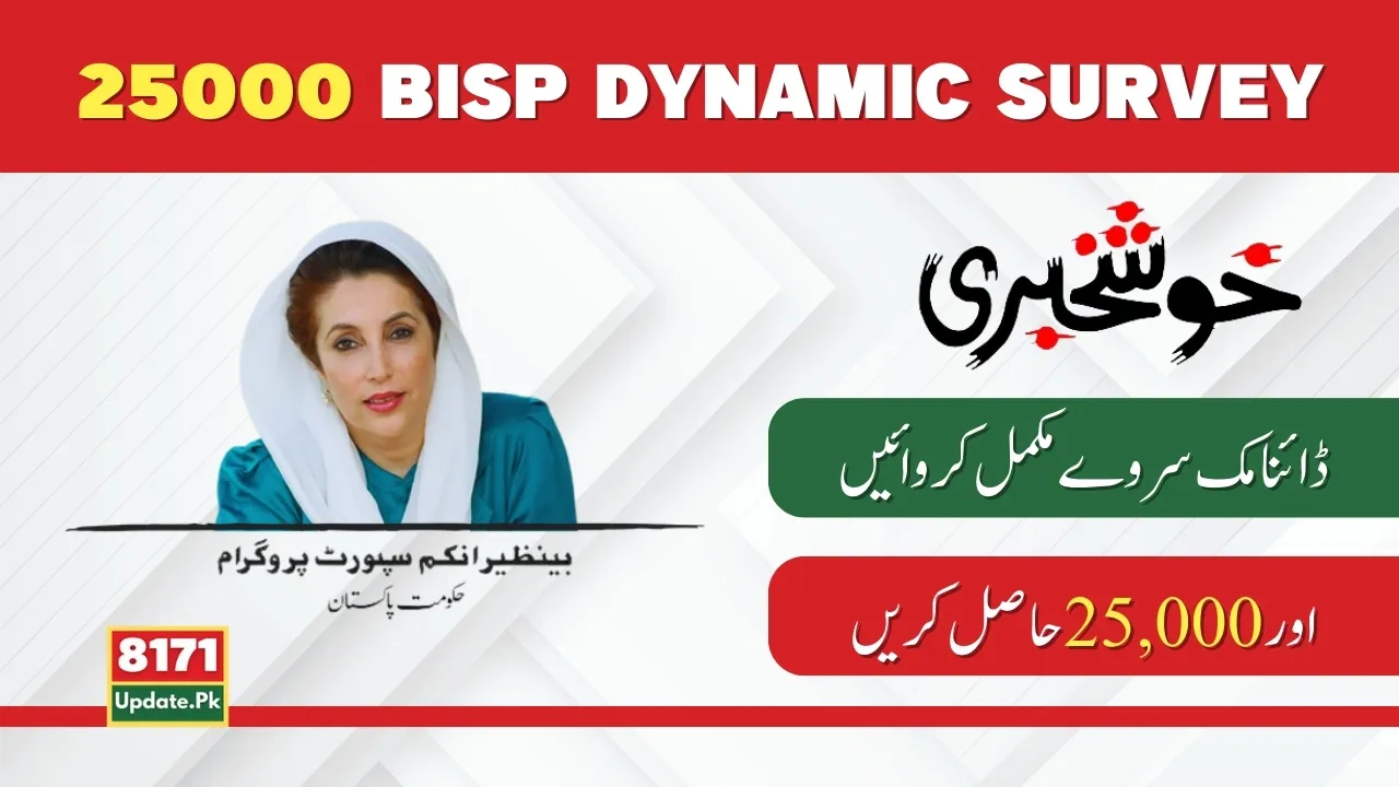 Method for 25000 BISP Dynamic Survey from Tehsil Office